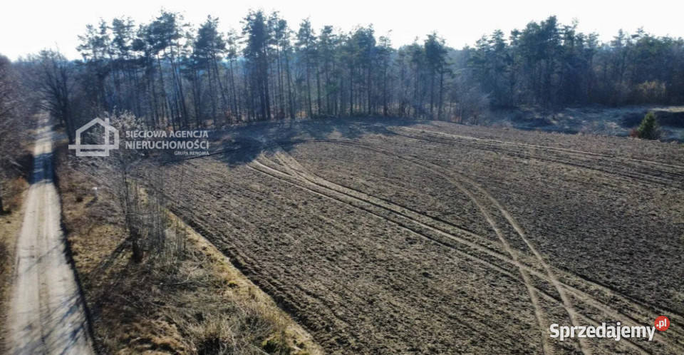 sprzedaży działki 19409m2 Michalin pomorskie