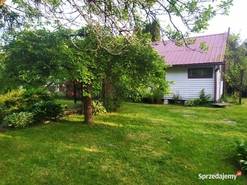 Działka z domkiem ROD Grochowa Gmina Piaseczno mazowieckie