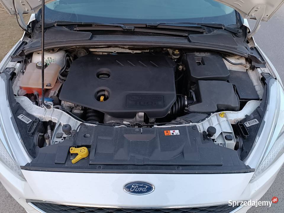 Sprzedam ford focus mk3 2015 16 diesel 6 biegow Starogard Gdański