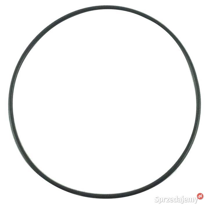 Oring 7950 x 2 mm LS MT350 LS MT360 S804080010 podkarpackie Tajęcina