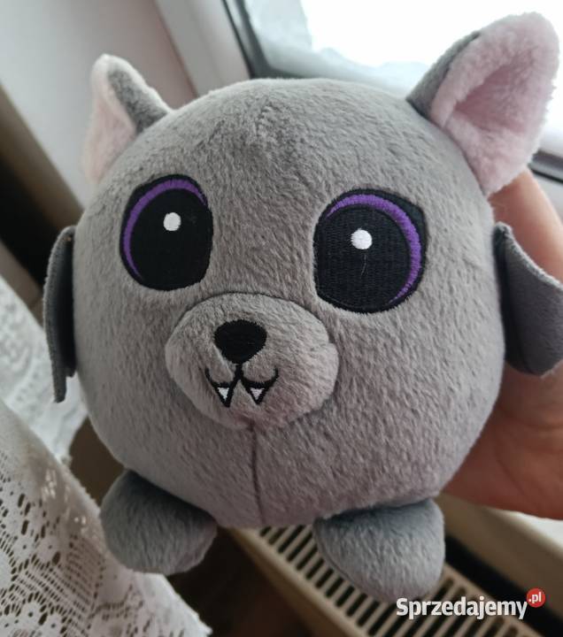 Maskotki różne rodzaje Iława sprzedam