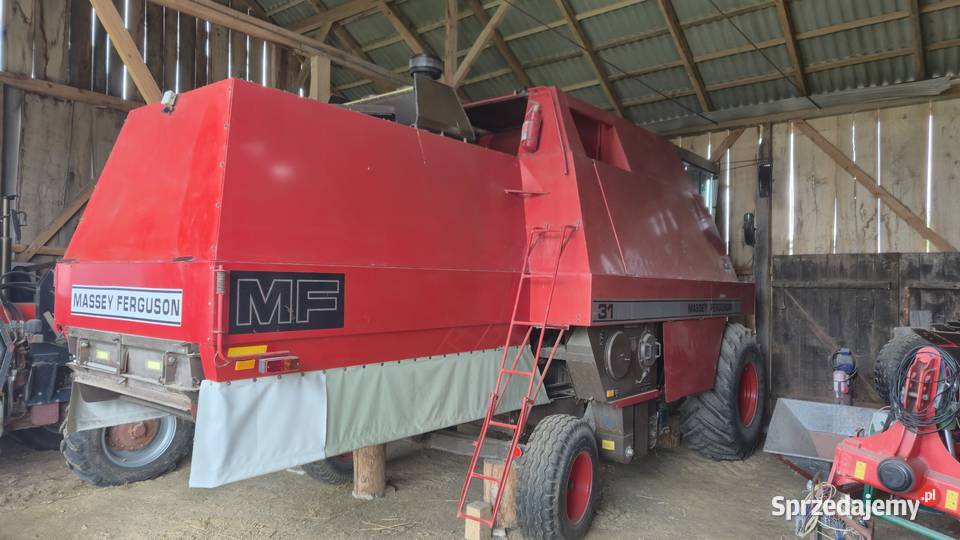 Massey ferguson 31 Żuków-Kolonia