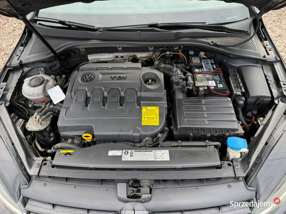 Volkswagen Golf Golf VII SOUND Navi Led Dotyk wielofunkcyjna kierownica Szerominek