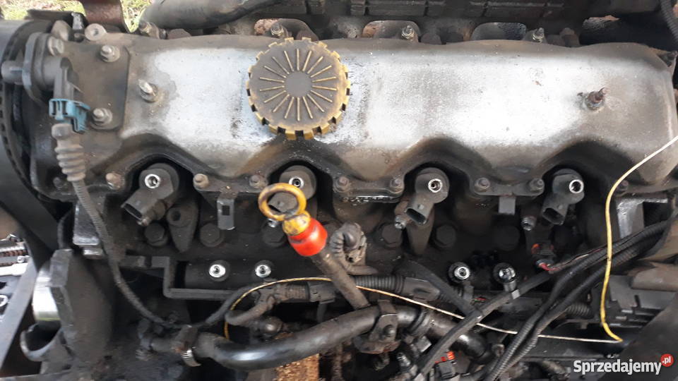 IVECO JUMPER DUCATO 28 JTDhdiGlowica stab głowice cylindrów Jastrzębia Góra sprzedam