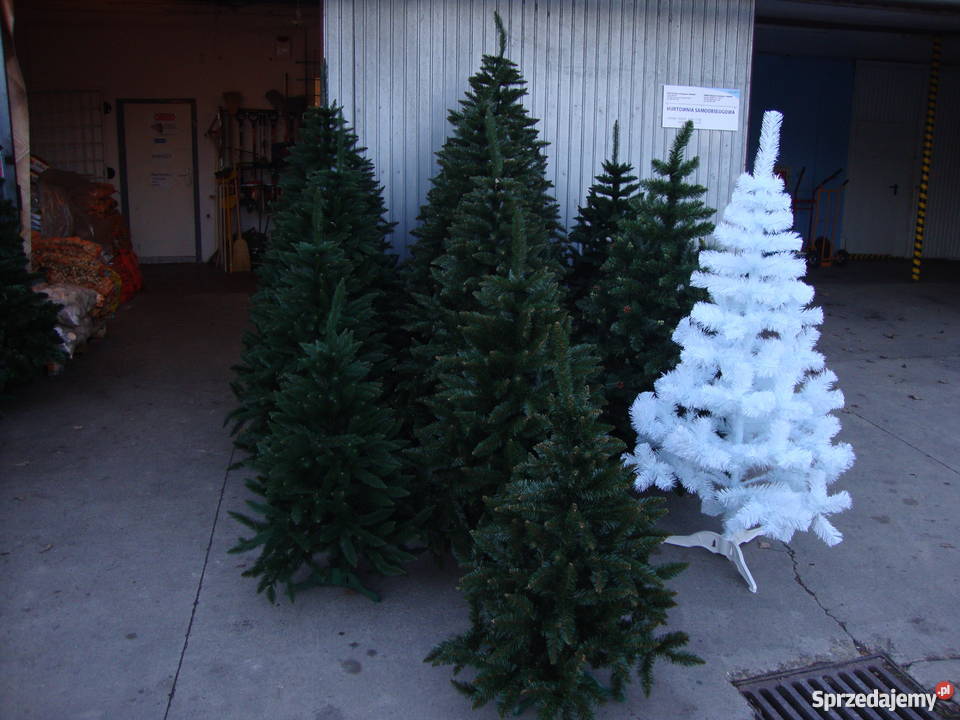 Choinki choinka sztuczna Choinki żywe inny kolor Gorlice