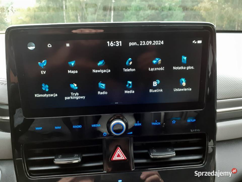 Hyundai IONIQ Electric Platinium