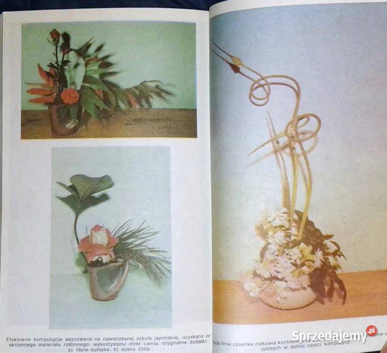 Kompozycje roślinne Agnieszka Sokołowska miękka Pozostałe Chełm