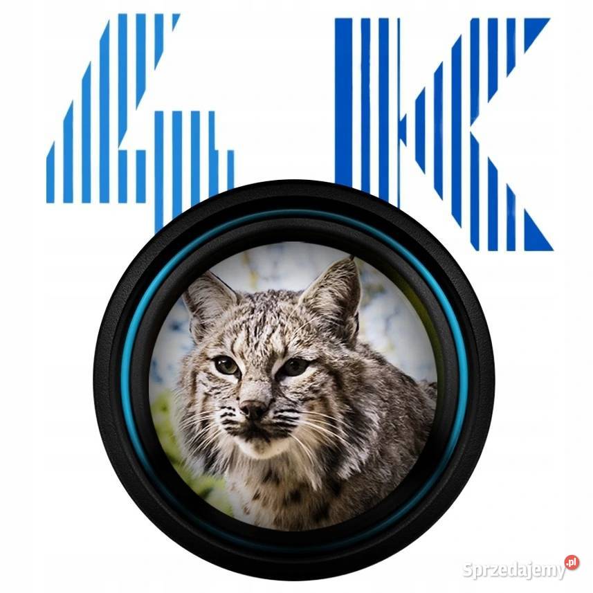 Luneta Noktowizyjna Celownik PARD NS4 Night Poznań