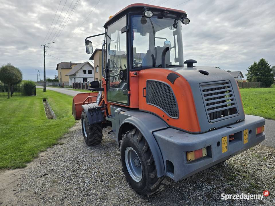 Everun er12 ładowarka widlak Rok produkcji 2019 śląskie Pszczyna