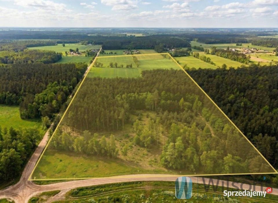 Działka Śródborze 128499 metrów Sprzedaż mazowieckie sprzedam