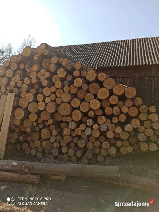 Wałki sosnowe modrzewiowe i świerkowe