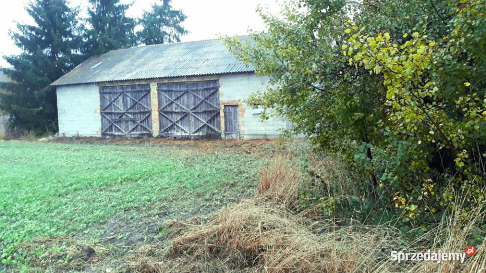 Działka siedliskowa z budynkiem Płońsk