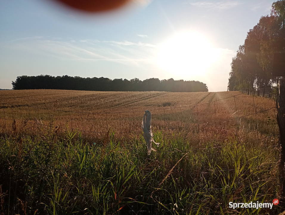 Działka rolno-leśna, blisko jezioro