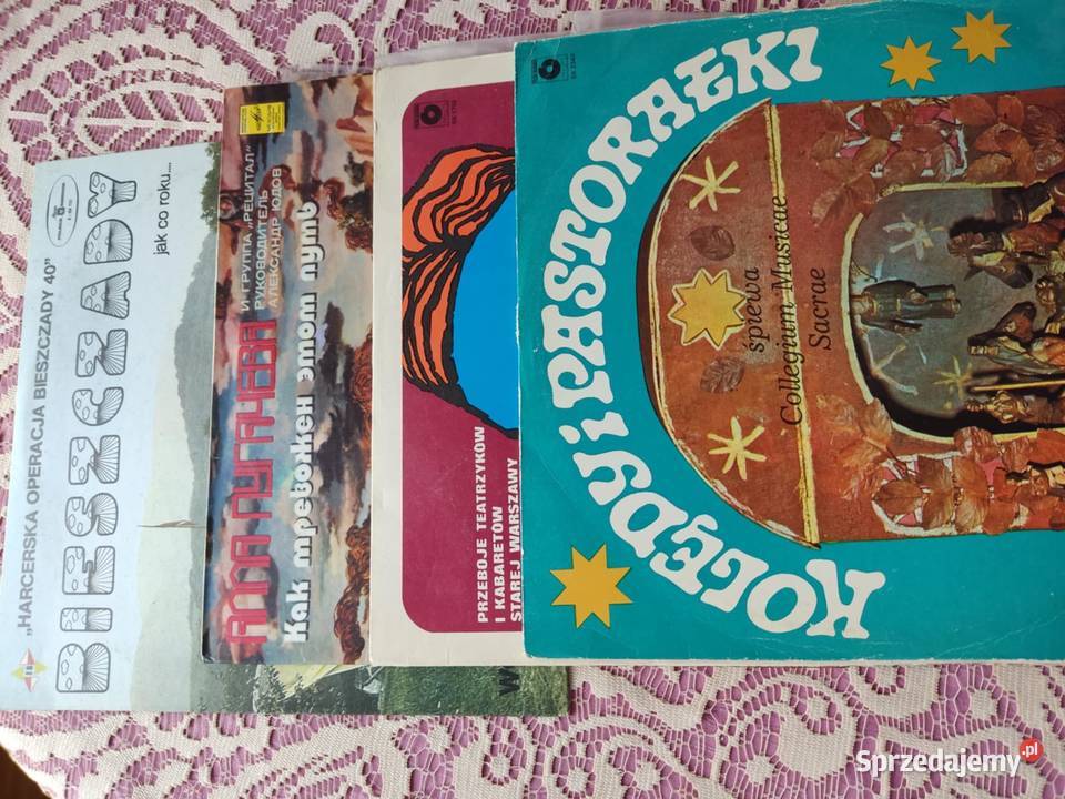 płyty winylowe 18 sztuk wyprzedaż kolekcji Gorzów Wielkopolski sprzedam