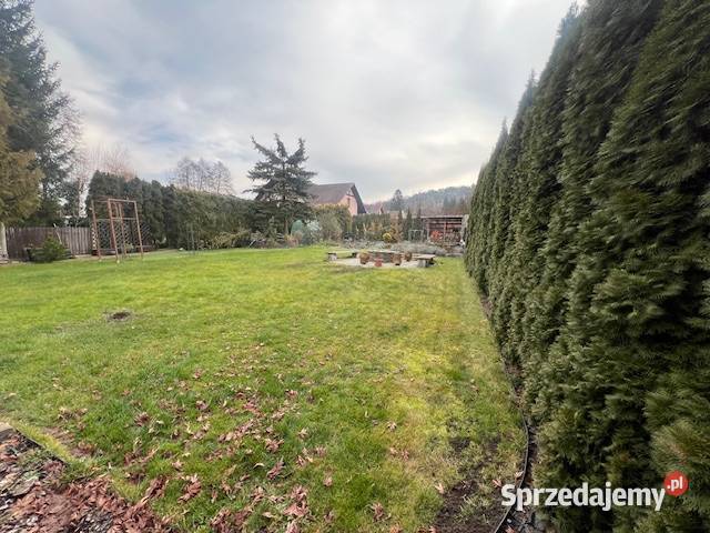 Syndyk sprzeda udział w zabudowanej