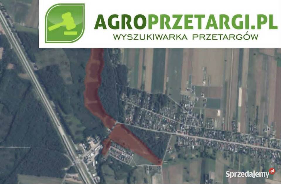 Dzierżawa 1689 ha stawów Puławy