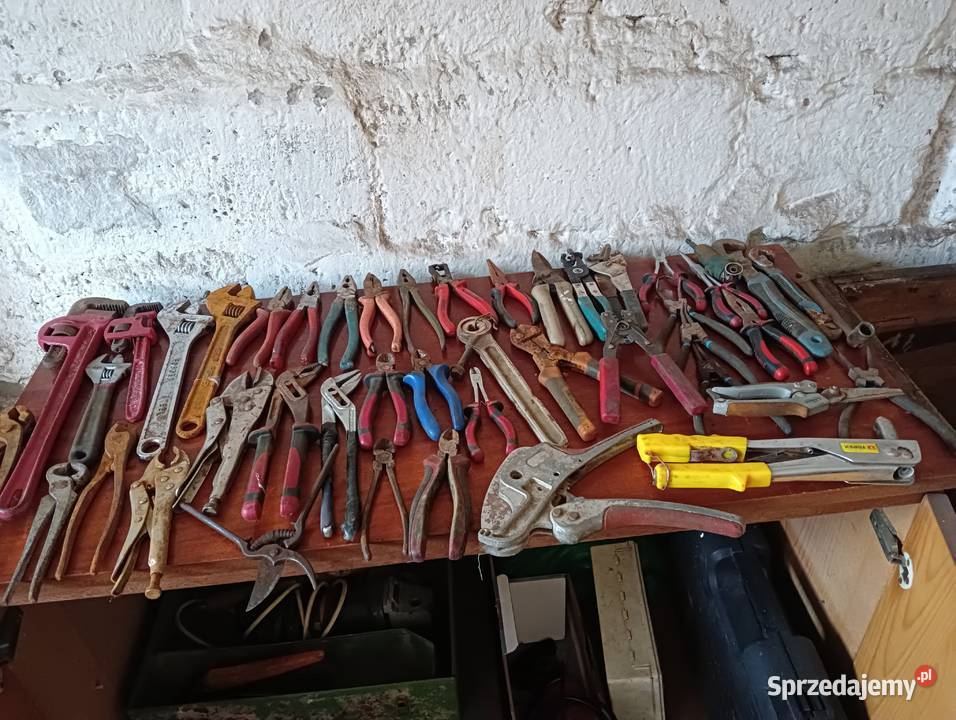 Zerknij w ogłoszenie a na pewno coś Cię