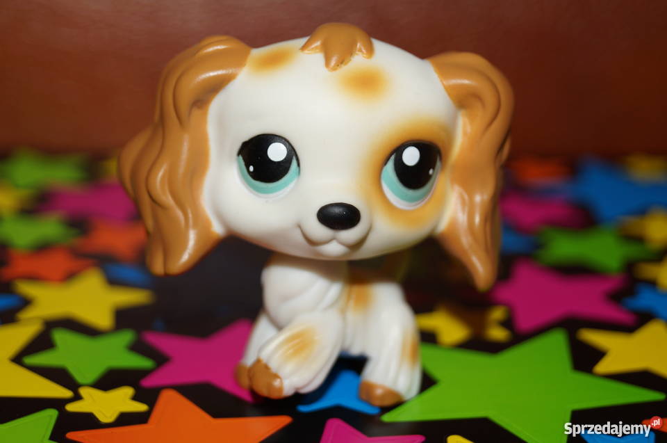 LPS spaniel UNIKAT 344 Littlest Pet Shop pies Czerwionka-Leszczyny