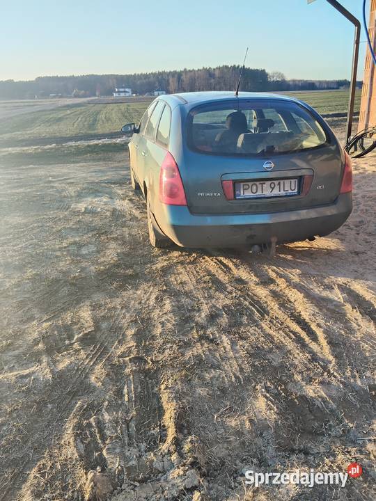 Nissan Primera p12 Grabów nad Prosną