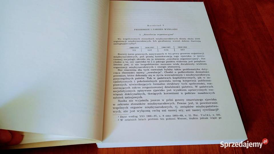 Organizacje międzynarodowe systematyczny zarys pomorskie sprzedam