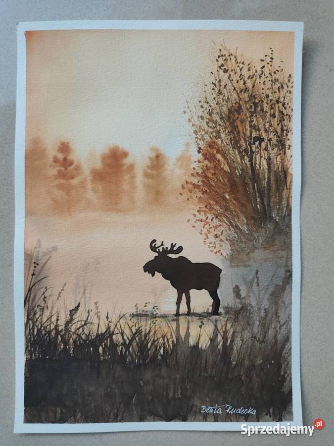 Akwarela Akwarelka Obraz pt Mglisty Majestat Łódź