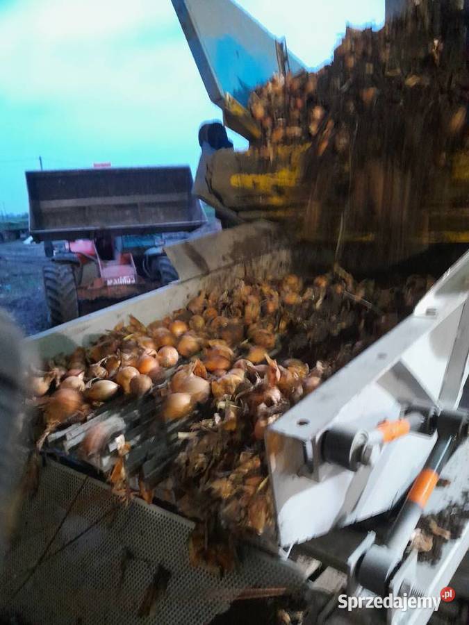 przesiewacz sortownik wibracyjny Maszyny rolnicze Osięciny