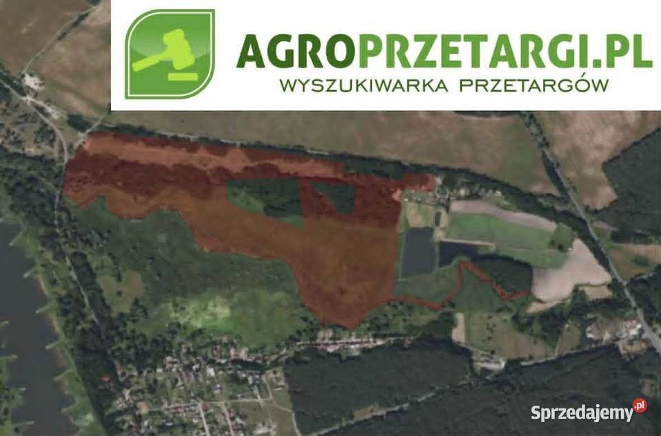 Dzierżawa 3343 ha gruntu rolnego Słubice