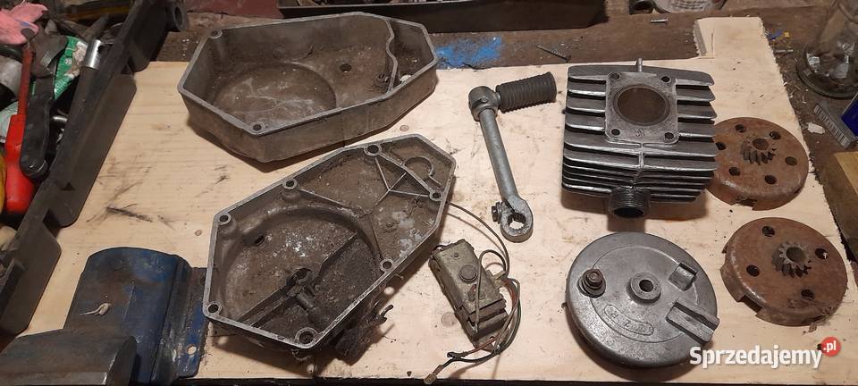 komar wielkopolskie Międzychód