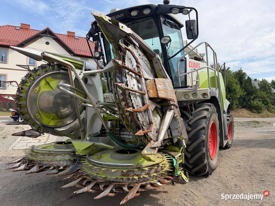 Sieczkarnia do kukurydzy Claas Jaguar 950 w Nowa Ruda