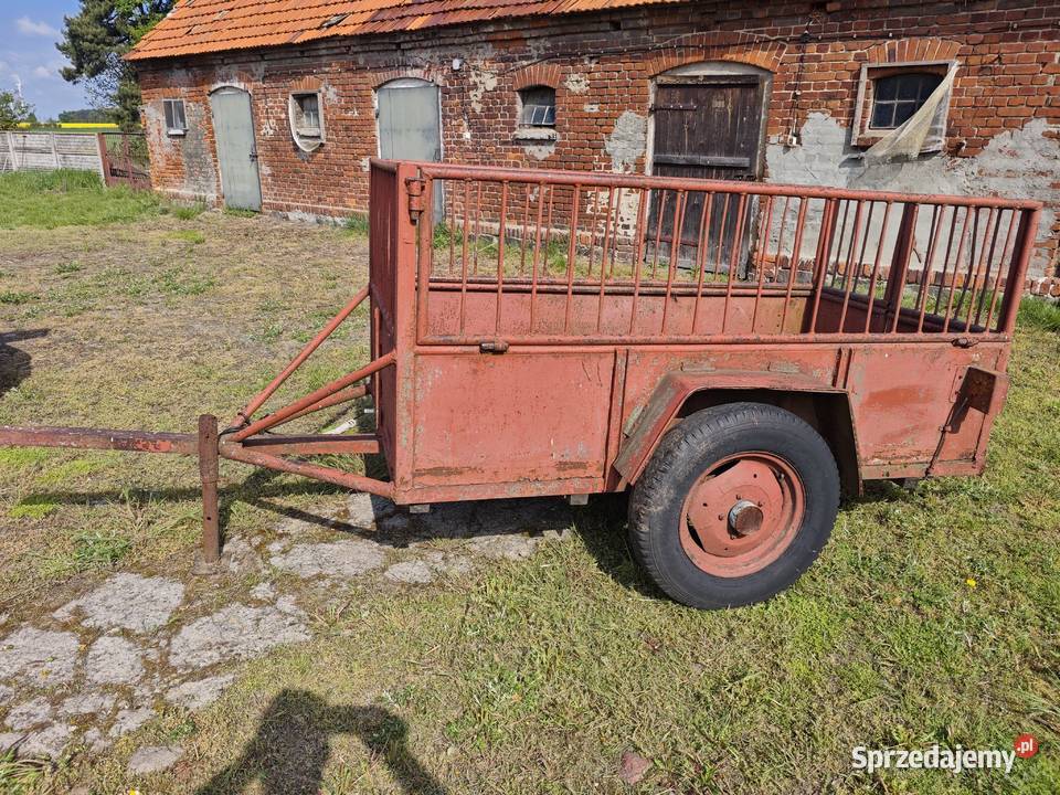 Przyczepka wózek kołówka zarejestrowana i nieuszkodzony Dobrzyca