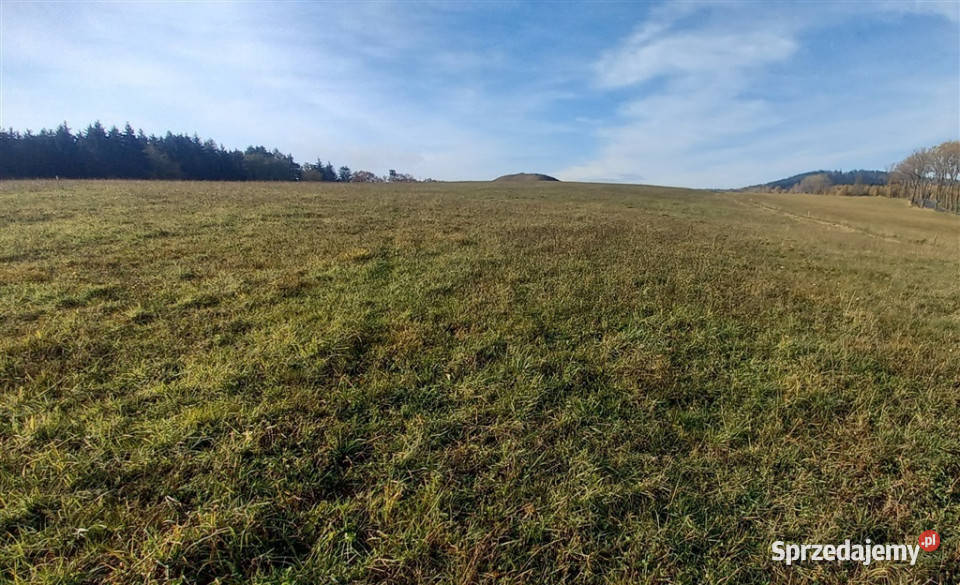 Widokowa działka dolnośląskie Zagórze Śląskie sprzedam