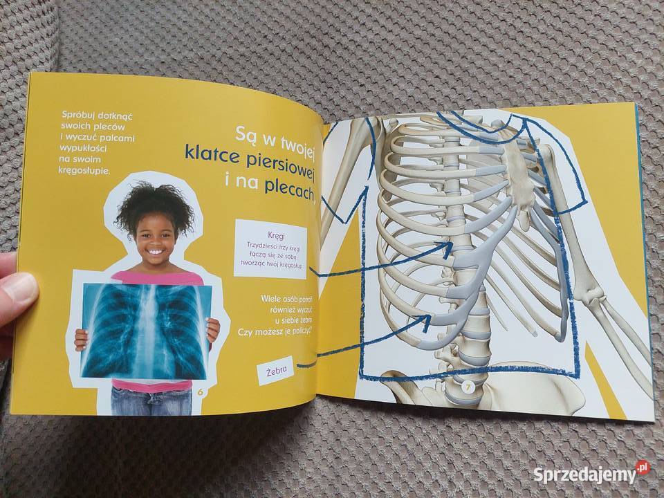 Twoje kości Becky Baines Kraków sprzedam