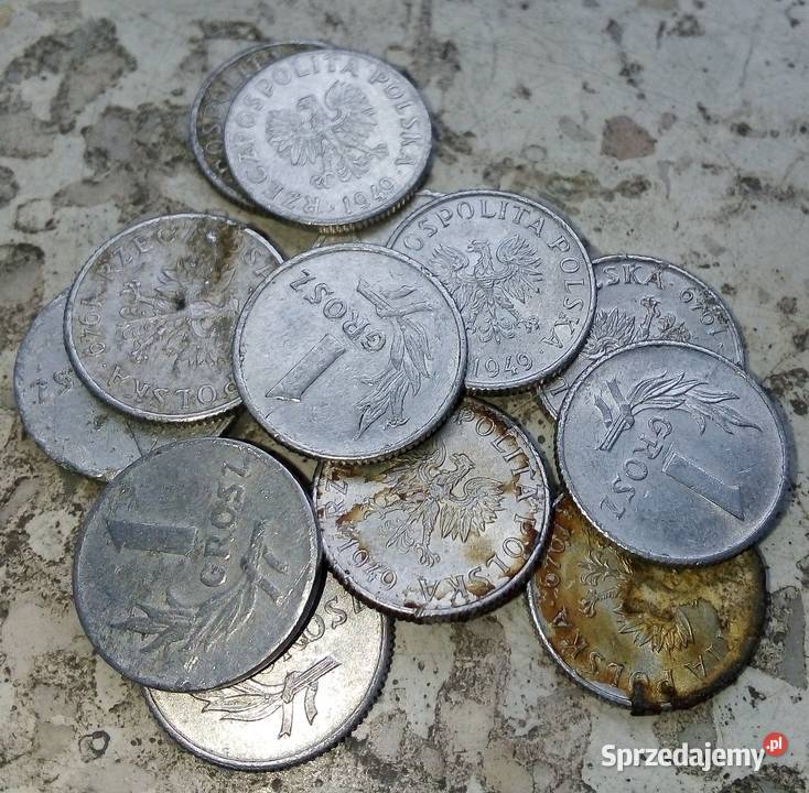 POLSKA 1 GROSZ 1949 rALbz12 SZTUK