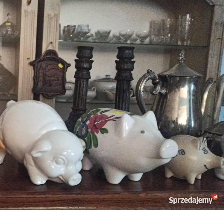 Skarbonka świnka Największa w kwiatki Sygnowana Gdańsk