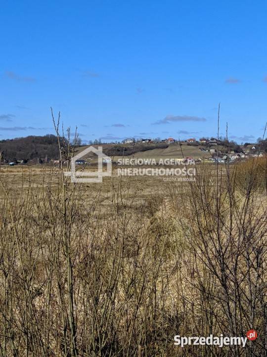 sprzedaży gruntu Błądzikowo 17400m2 1m Sprzedaż