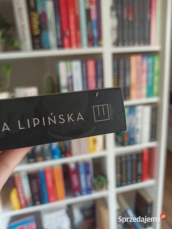 365 dni ISBN 9788381176477 świętokrzyskie Bieliny