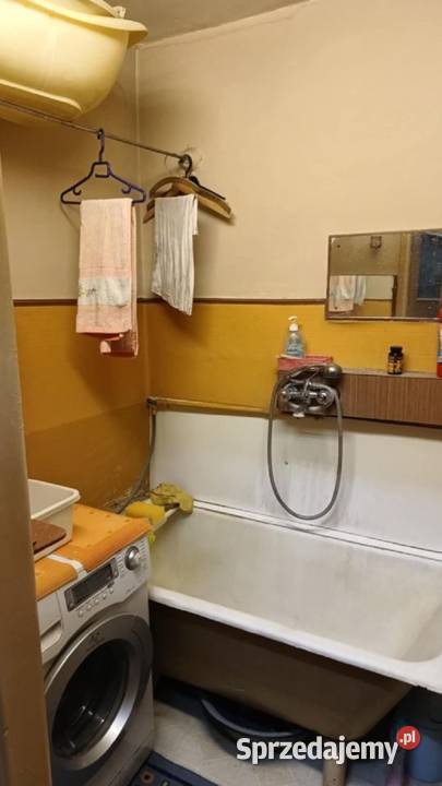 2pok 37met Ogrodu Botanicznego WINDA ZARAZ dolnośląskie Wrocław