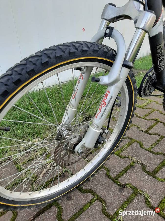 Rower górski ACTIVE SHARK 24 Gdynia