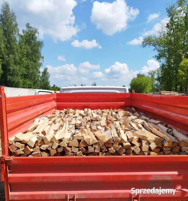 Różne rodzaje drewna opałowegokominkowego Olszyny