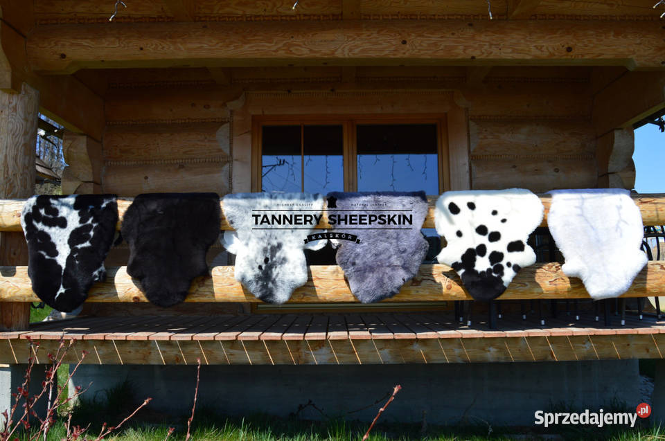 Skóry Owcze Krótki Włos Różne Kolory Skóra Owcza Szaflary