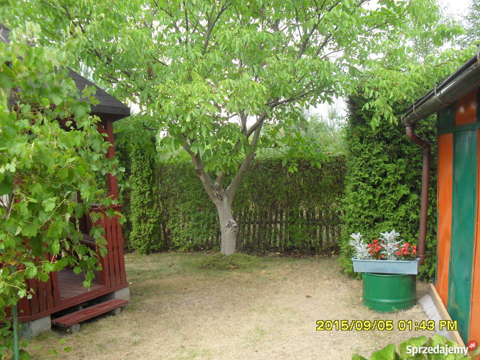 Sprzedam działkę rekreacyjną 38zł/m2 Wyszków