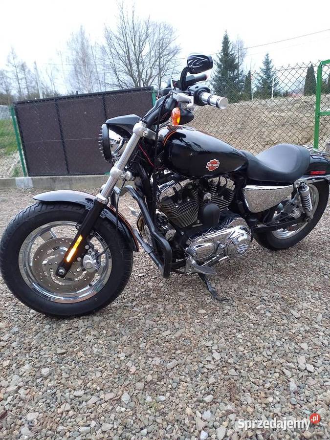 Harley davidson sportster castom 1200 1200cm3 Tyczyn