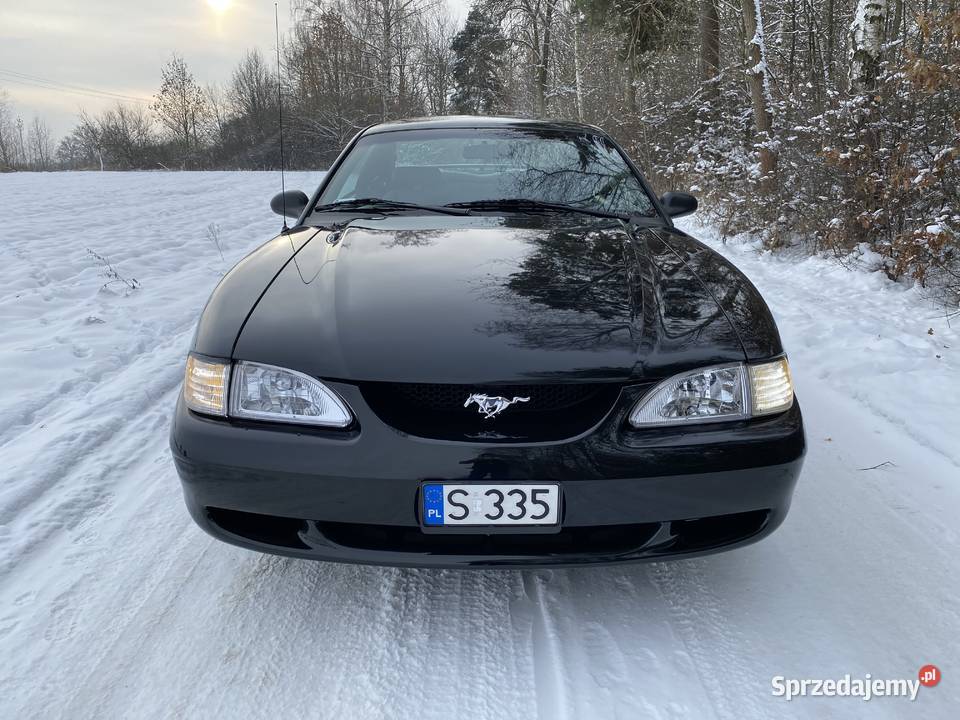 Ford Mustang SN95 manual 125000km mazowieckie Chomentów-Szczygieł