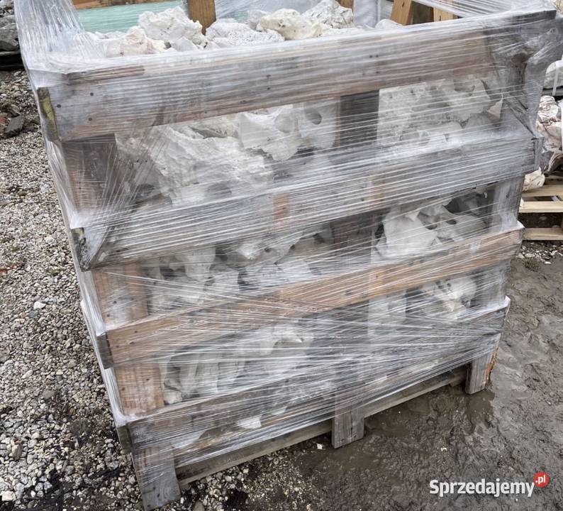 WAPIEŃ FILIPIŃSKI Biała Skała do Akwarium Malawi mazowieckie Warszawa