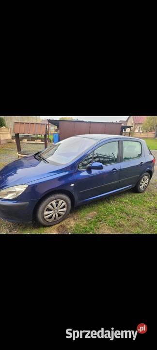 peugeot 307 Bodzechów