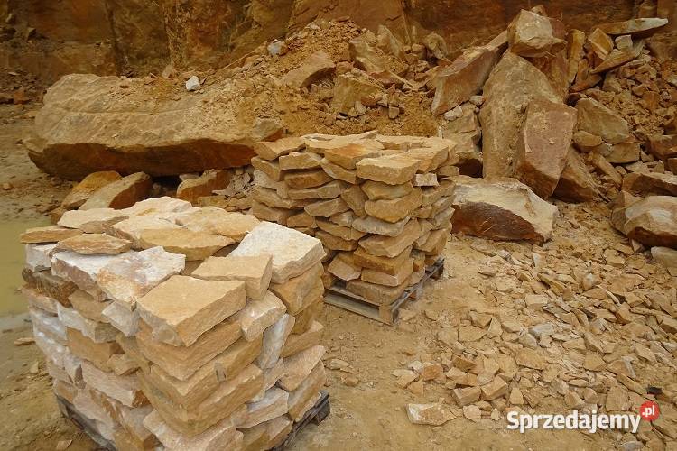 Dzikówka ogrodowa kamień na skalniak skarpy łódzkie Wielgomłyny