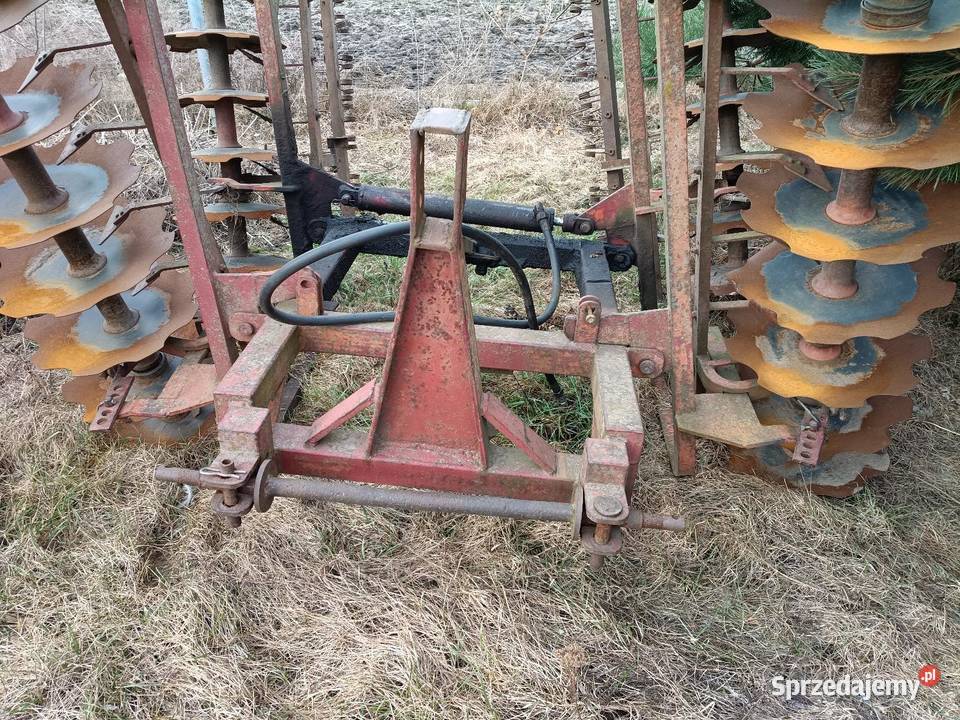 Talerzowka Kokczyn Drugi sprzedam