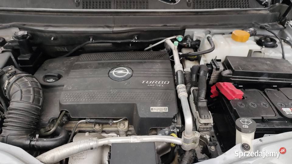 Opel Antara 22 CDTI 184 ASR (kontrola trakcji) opolskie Nysa