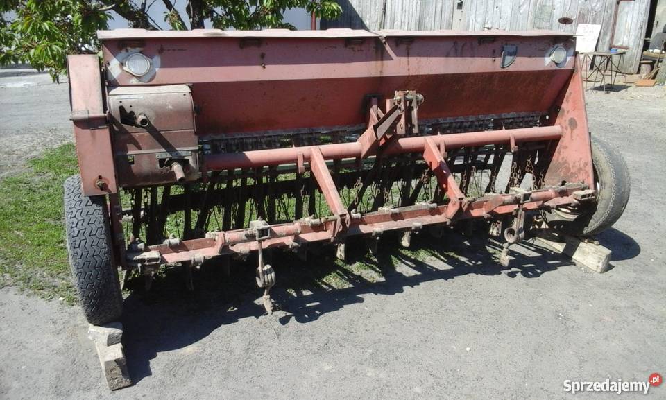 Siewnik poznaniak nie amazone nordsten hassia kujawsko-pomorskie