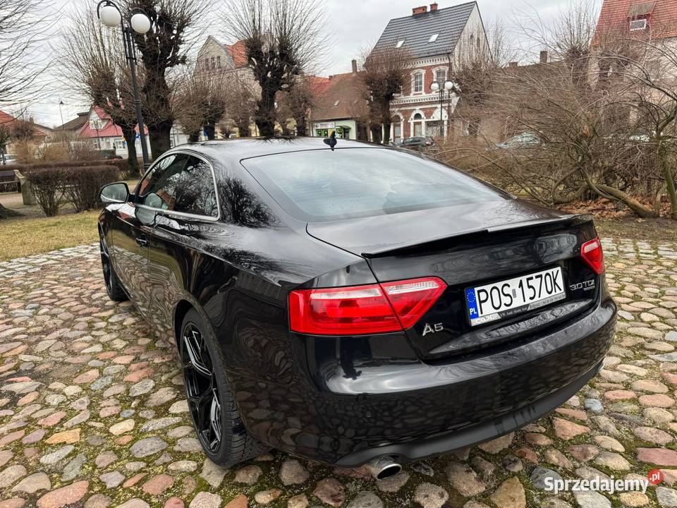 Audi A5 8T coupe 30 TDi quattro 2009r wielkopolskie Ostrów Wielkopolski